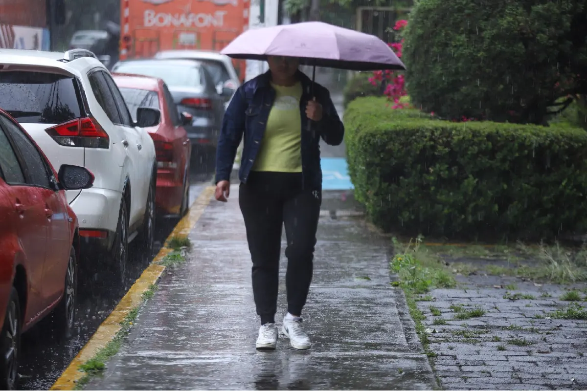 Tormenta tropical Polo: lluvias intensas en Oaxaca y muy fuertes en Guerrero y Michoacán