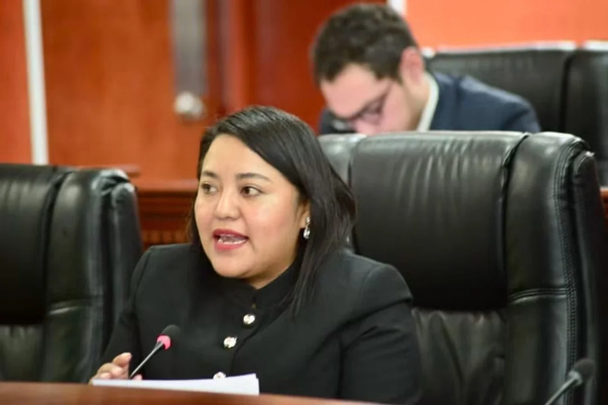 La diputada Evelyn Sánchez presentó la iniciativa de reforma a la ley que busca penas más altas congtra los montachoques. Foto: Evelyn Sánchez.
