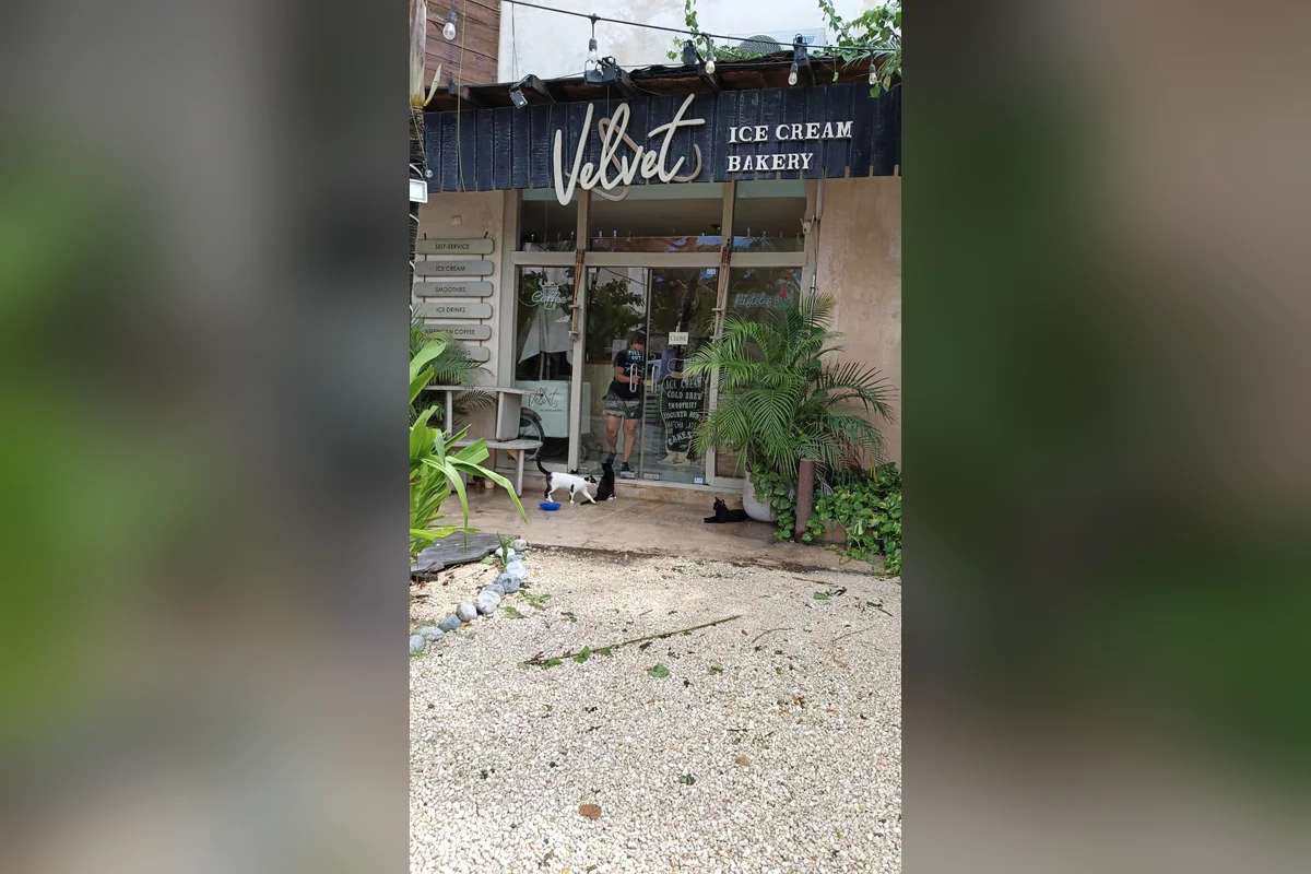 Algunos comerciantes abren unas horas para tratar de mitigar los gastos que tienen por pago de renta y servicios. Foto: Handel Aguilar.