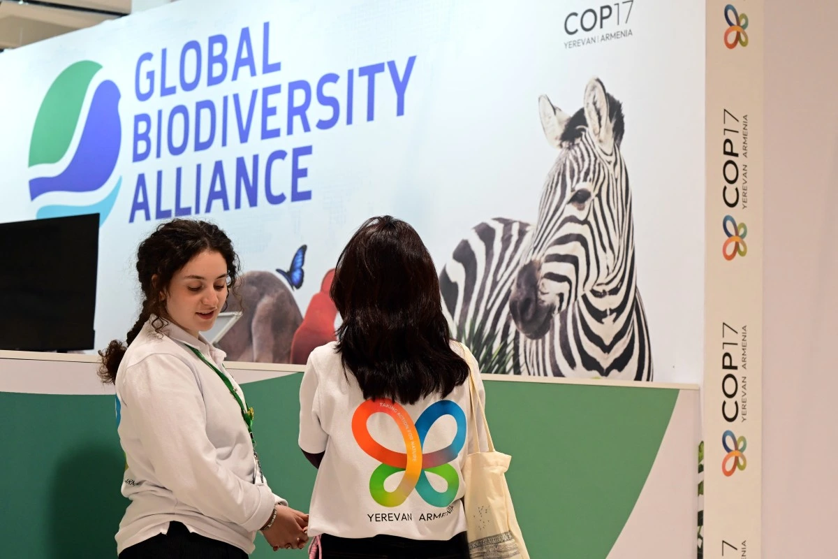 La Gran Selva Maya llega a la COP17 de Biodiversidad