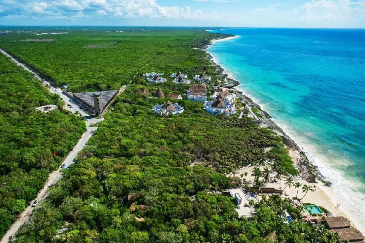 Corredor selva maya