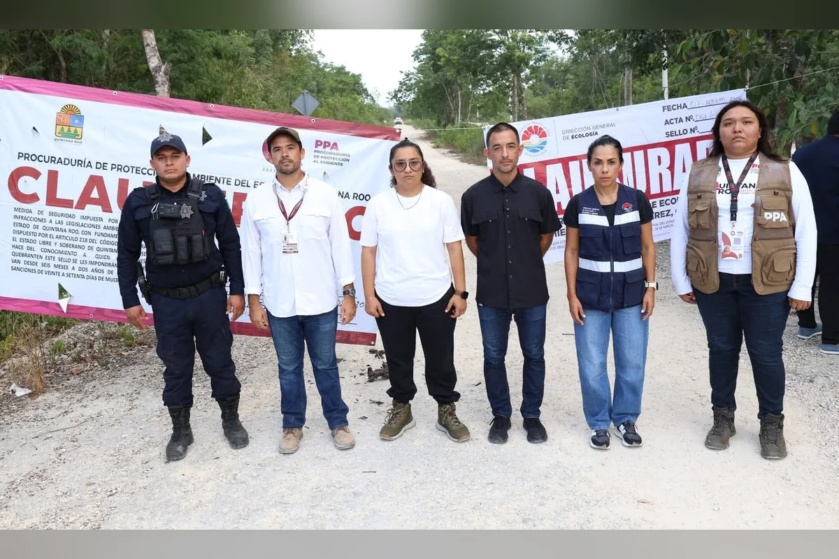 Este año han clausurado terrenos en los que se vendían lotes sin tener los permisos para urbanizarlos. Foto: Gobierno Benito Juárez.