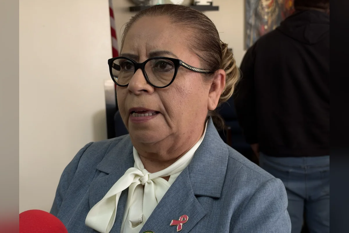 La diputada Gloria Arcelia Miramontes comentó que está platicando con los especialistas para saber hasta dónde pueden supervisarse a los foráneos. Foto: Valeria Ugarte.