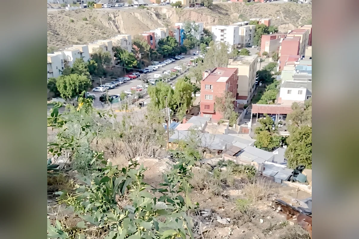 En barrancos, casas abandonadas, predios desolados de todo Tijuana, las madres buscadoras “pican” la tierra, remueven escombros y ramas en su afán de localizar a sus familiares. Foto: Especial.