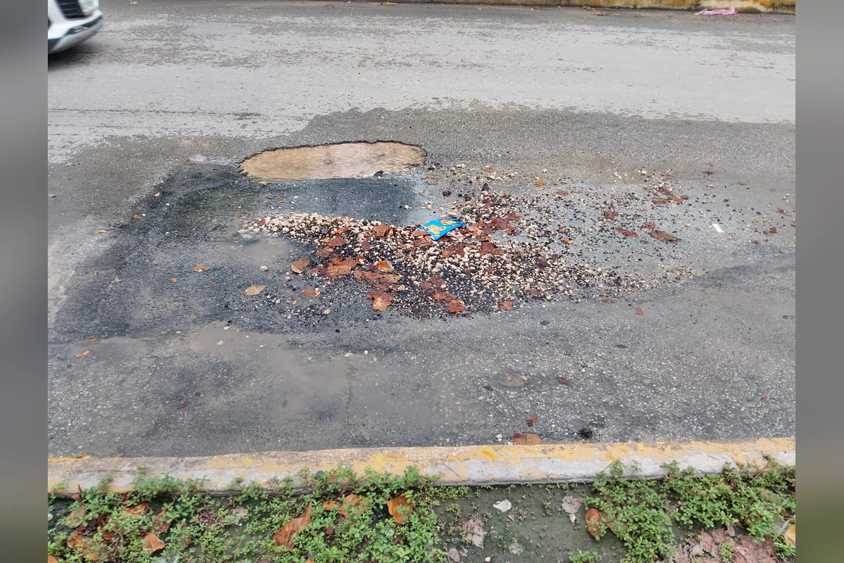 Al mismo tiempo que se desperdicia el agua, en el asfalto causa baches. Foto: Joana Maldonado.
