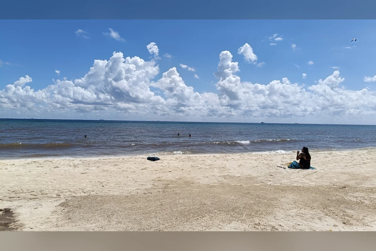 La llegada del sargazo a las playas causan que los turistas y familias de residentes locales ya no se acercan a la zona costera. Foto: Handel Aguilar.