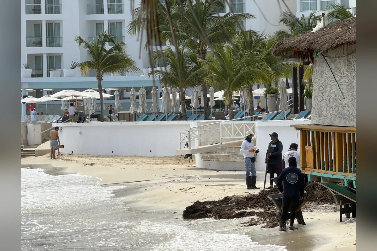 Personal de la Marina y del Ayuntamiento de Playa del Carmen recogieron el poco sargazo que sí alcanzó la costa. Foto: Handel Aguilar.