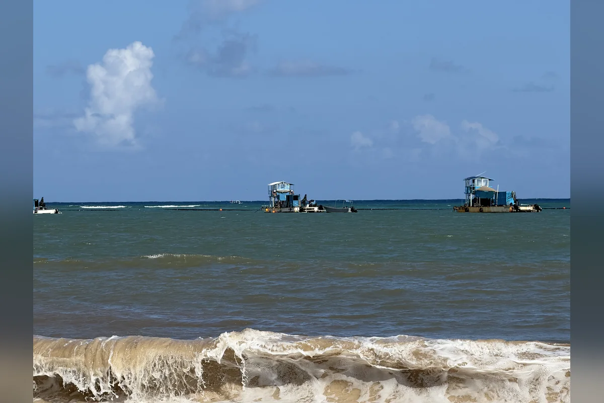 A pocos metros de la arena se alcanza a ver la mancha café, la cual significa el recale de la macroalga en descomposición, mientras algunas lanchas la “cosechan” en aguas más profundas. Foto: Handel Aguilar.