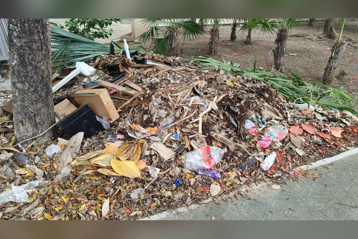 En Misión del Carmen el centro recreativo está en pésimas condiciones por el descuido de las autoridades. Foto: Handel Aguilar.