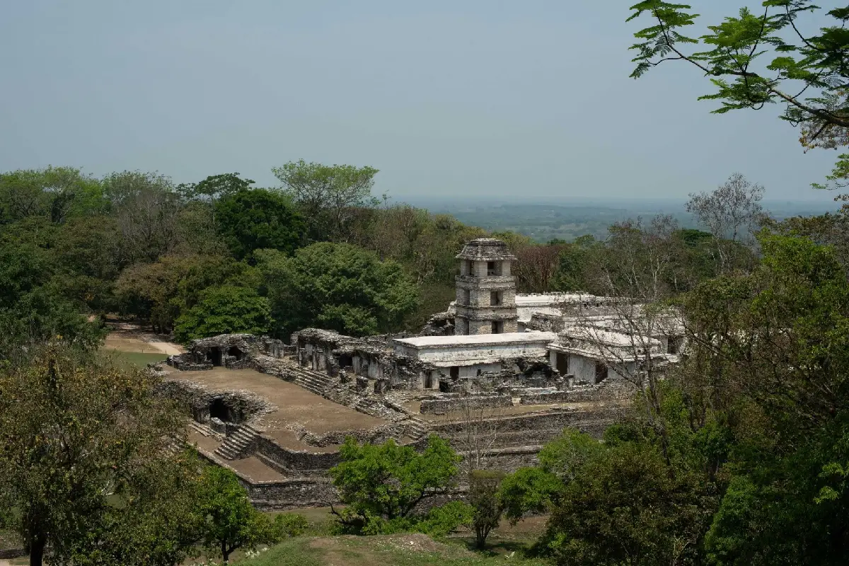 Selva Maya