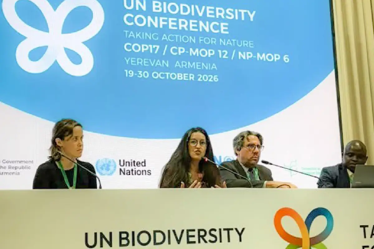 Semarnat delegación cop17