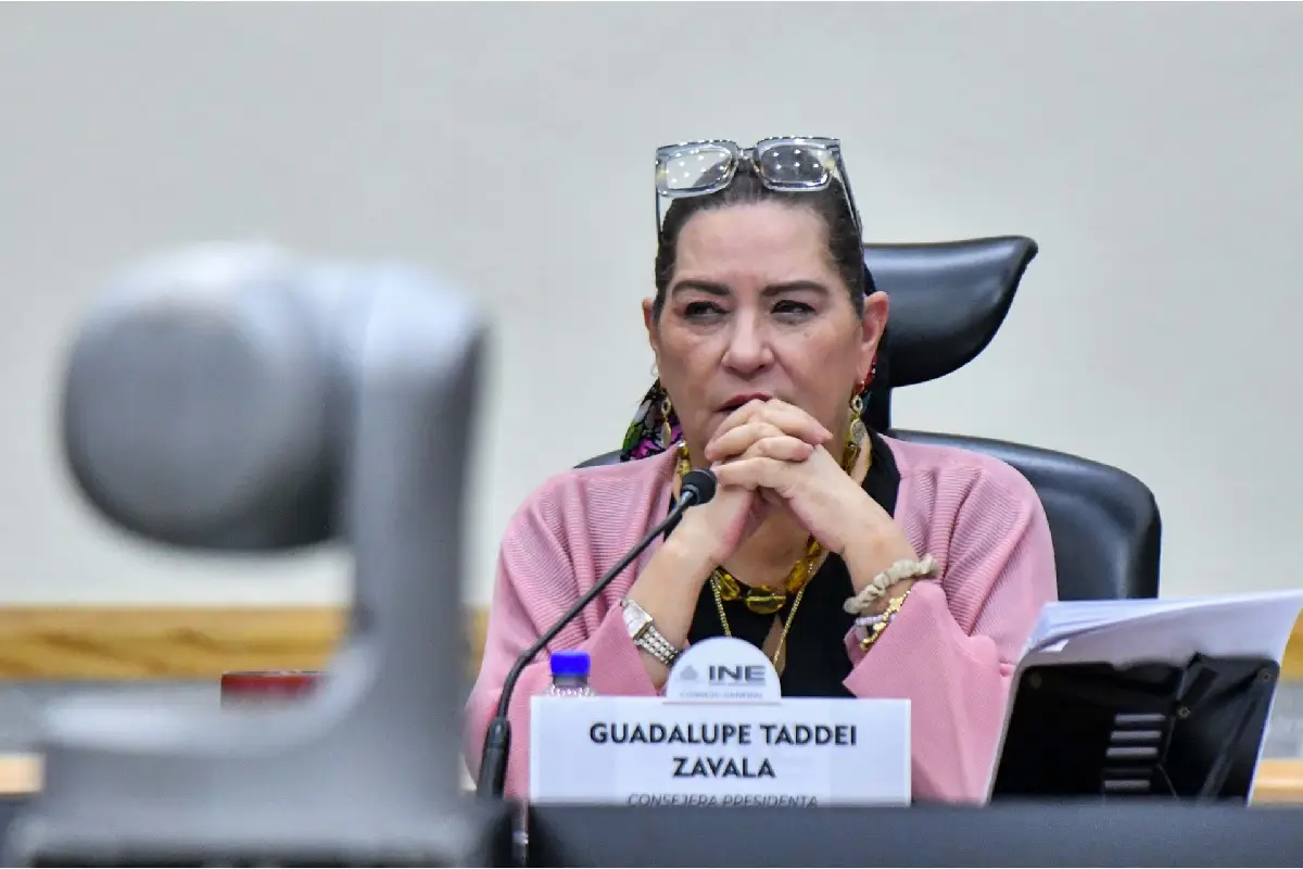 Taddei INE