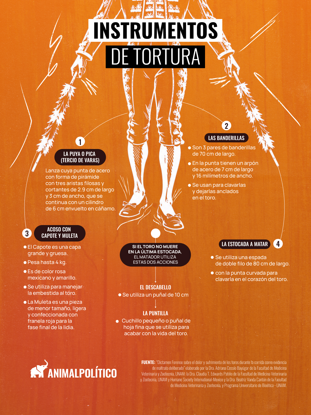 Torturar “poquito” a un toro: juez pide 100 mil pesos de garantía a activistas para indemnizar a empresarios