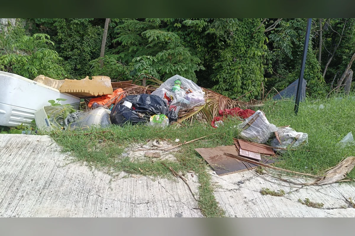 Montones de basura y hasta desechos de construcciones son tirados en el parque cada día, sin que los encargados de limpia pública los retiren. Foto: Handel Aguilar.