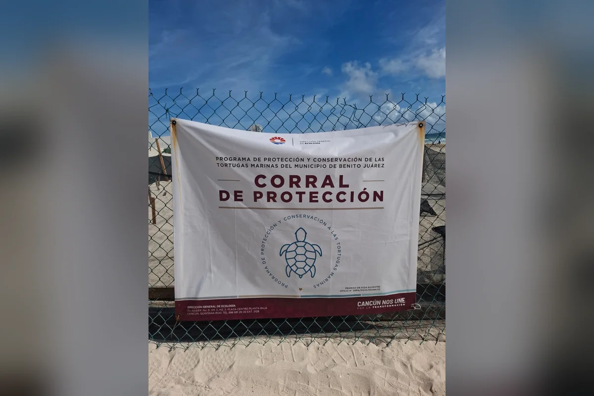 En la zona hay mensajes visibles que se trata de una zona en donde las tortugas anidan. Foto: Joana Maldonado.