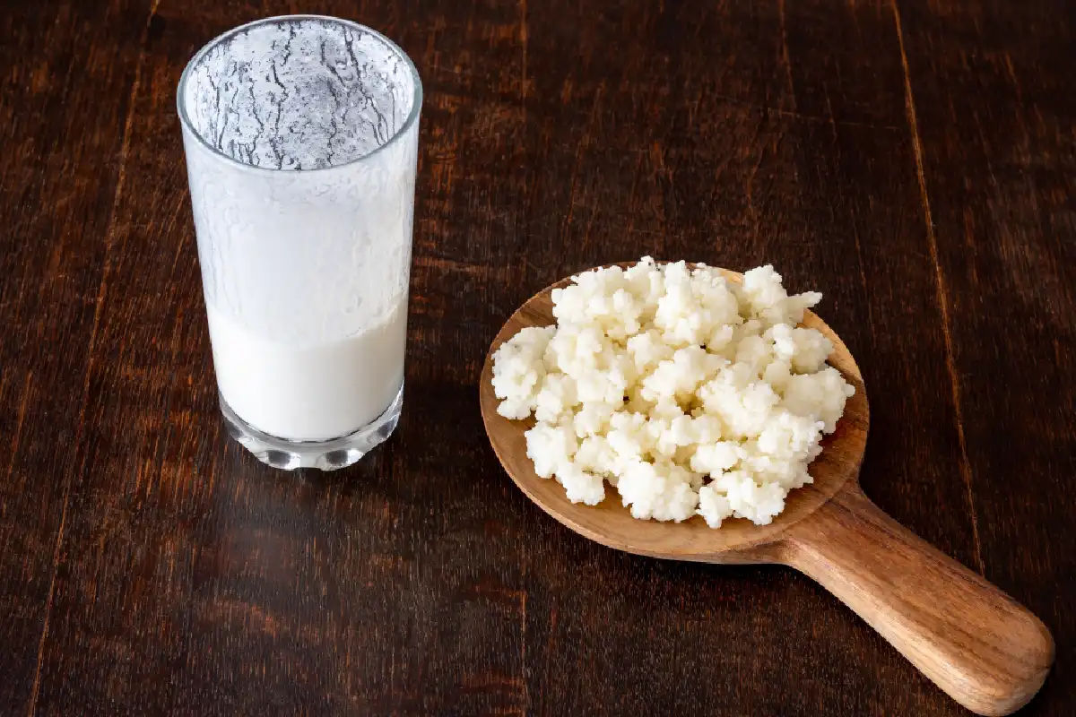 búlgaros de leche