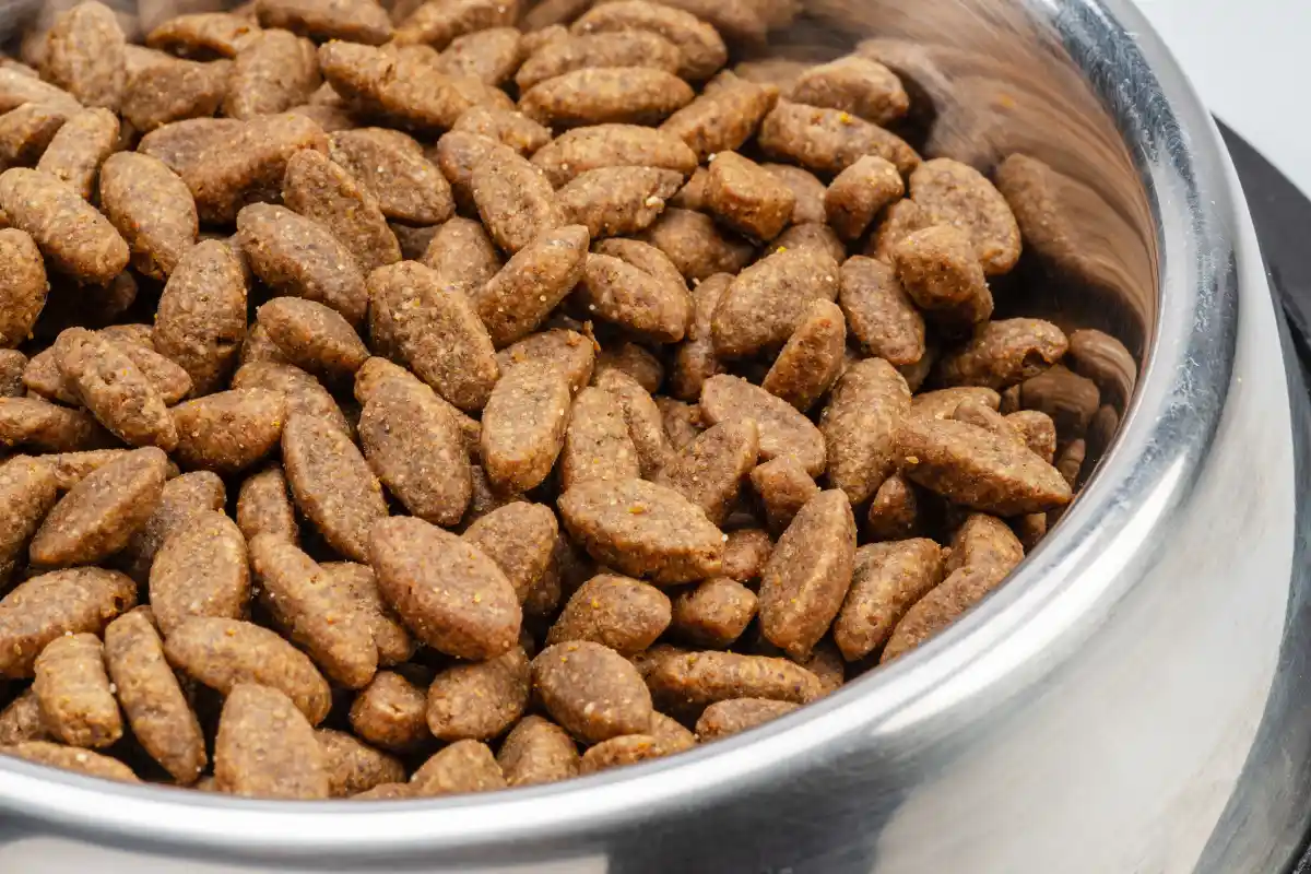 Tazón con comida seca para gato