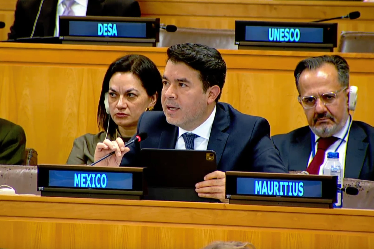 Arturo Medina, subsecretario de Derechos Humanos, durante su intervención ante la ONU. (Foto: captura de pantalla).