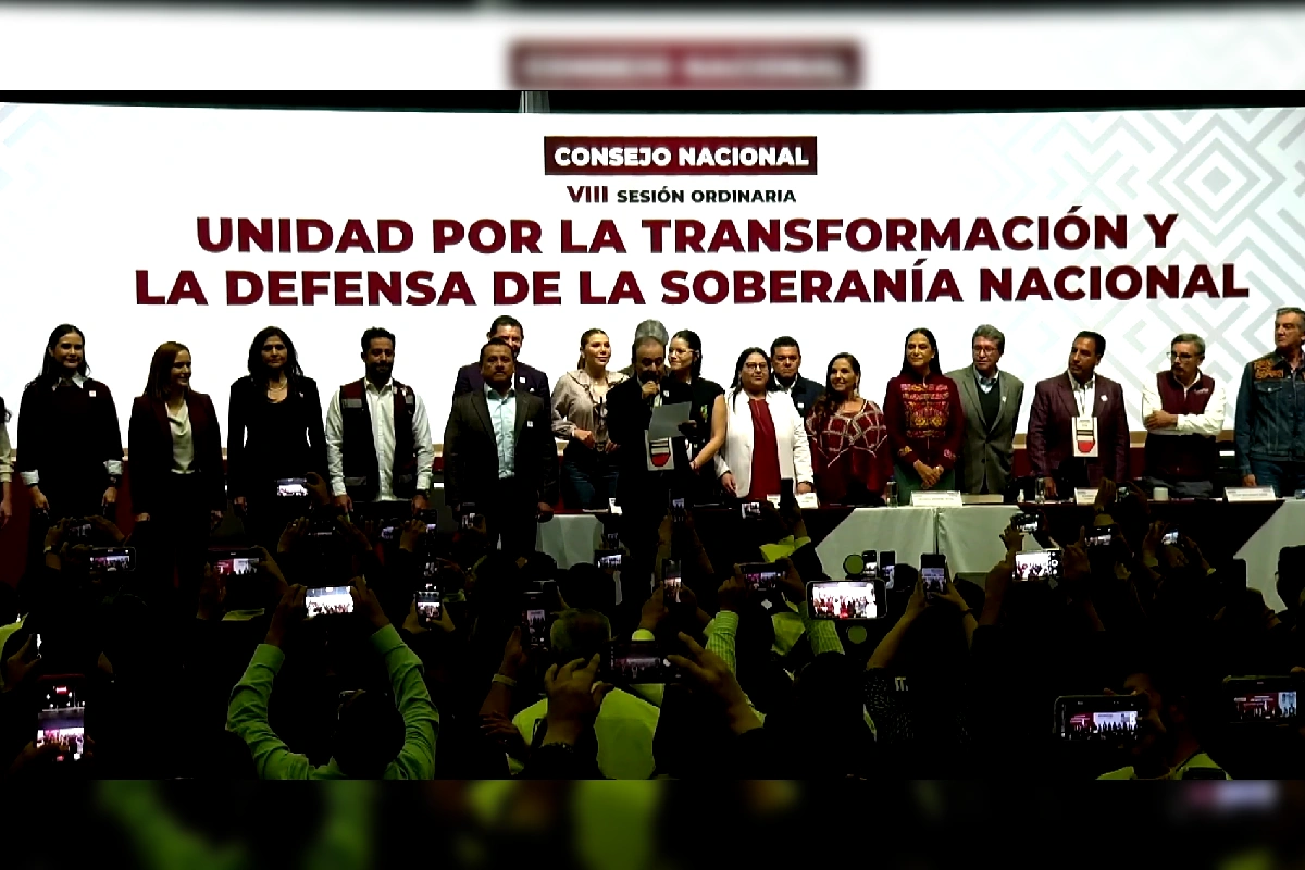 consejo nacional morena