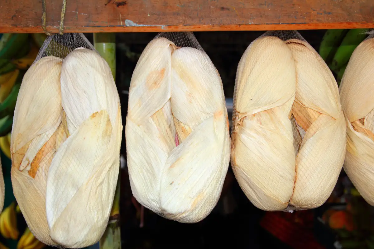 Hojas de totomoxtle colgadas