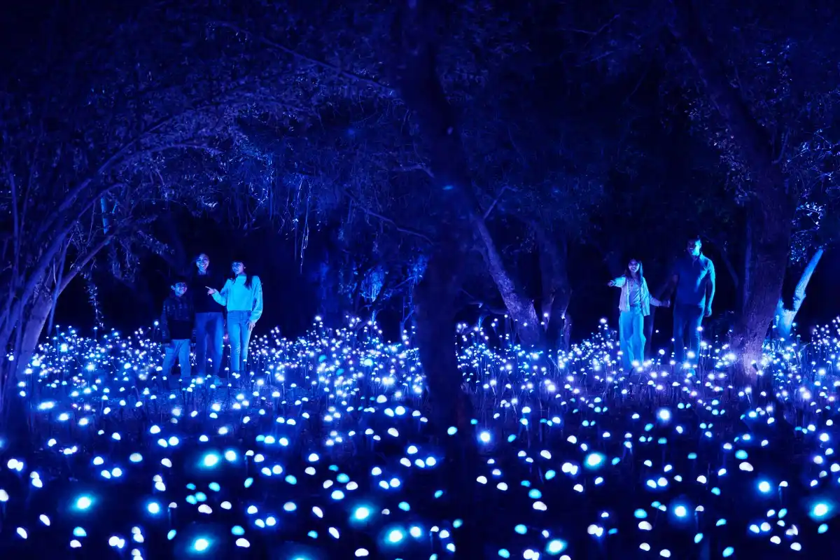 light cycles chapultepec 2026 boletos