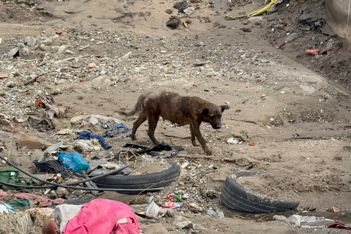 La limpieza de canales en Tijuana tras las lluvias trajo polémica.