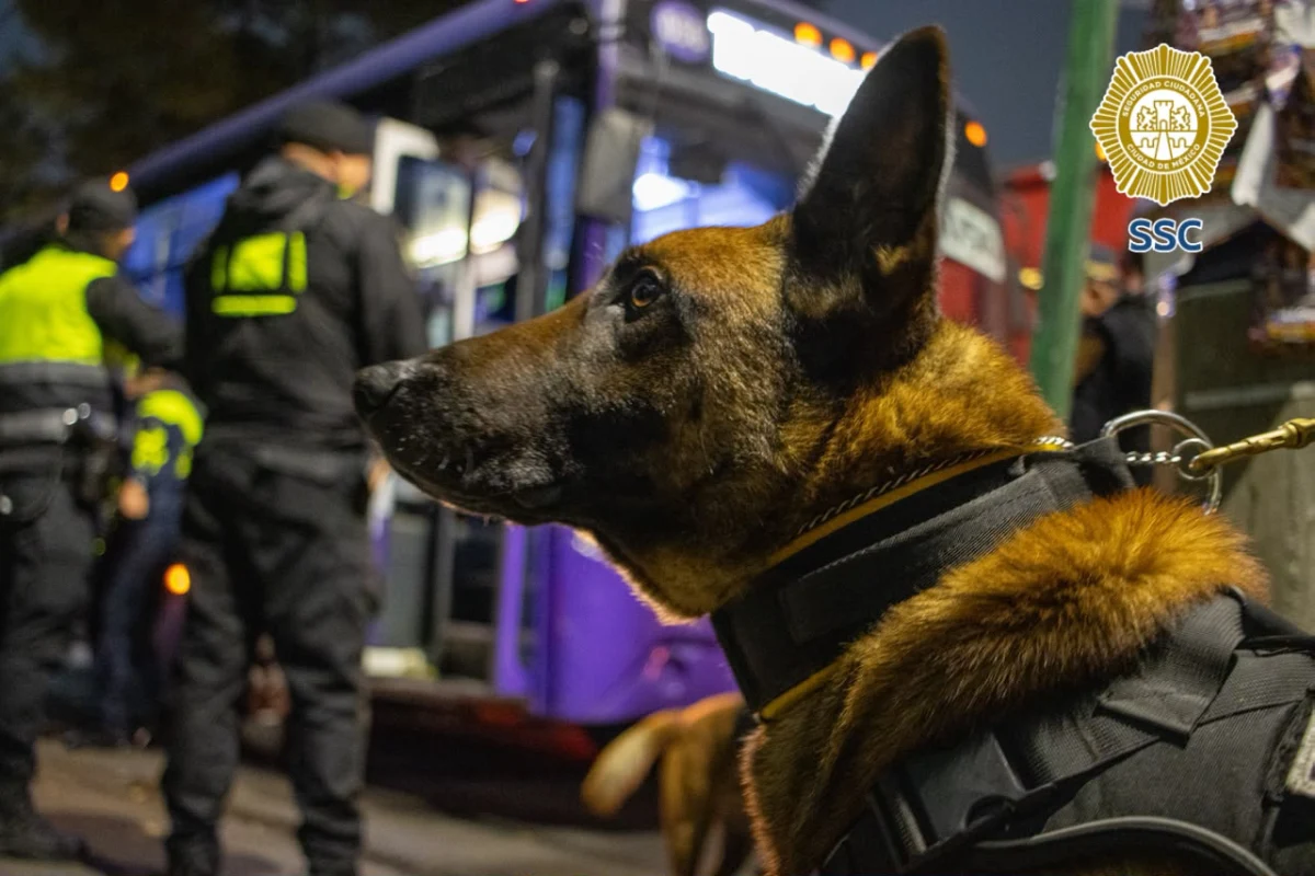 Pasajero Seguro opera en 60 puntos de CDMX; reportan reducción de 50% en robos al transporte público