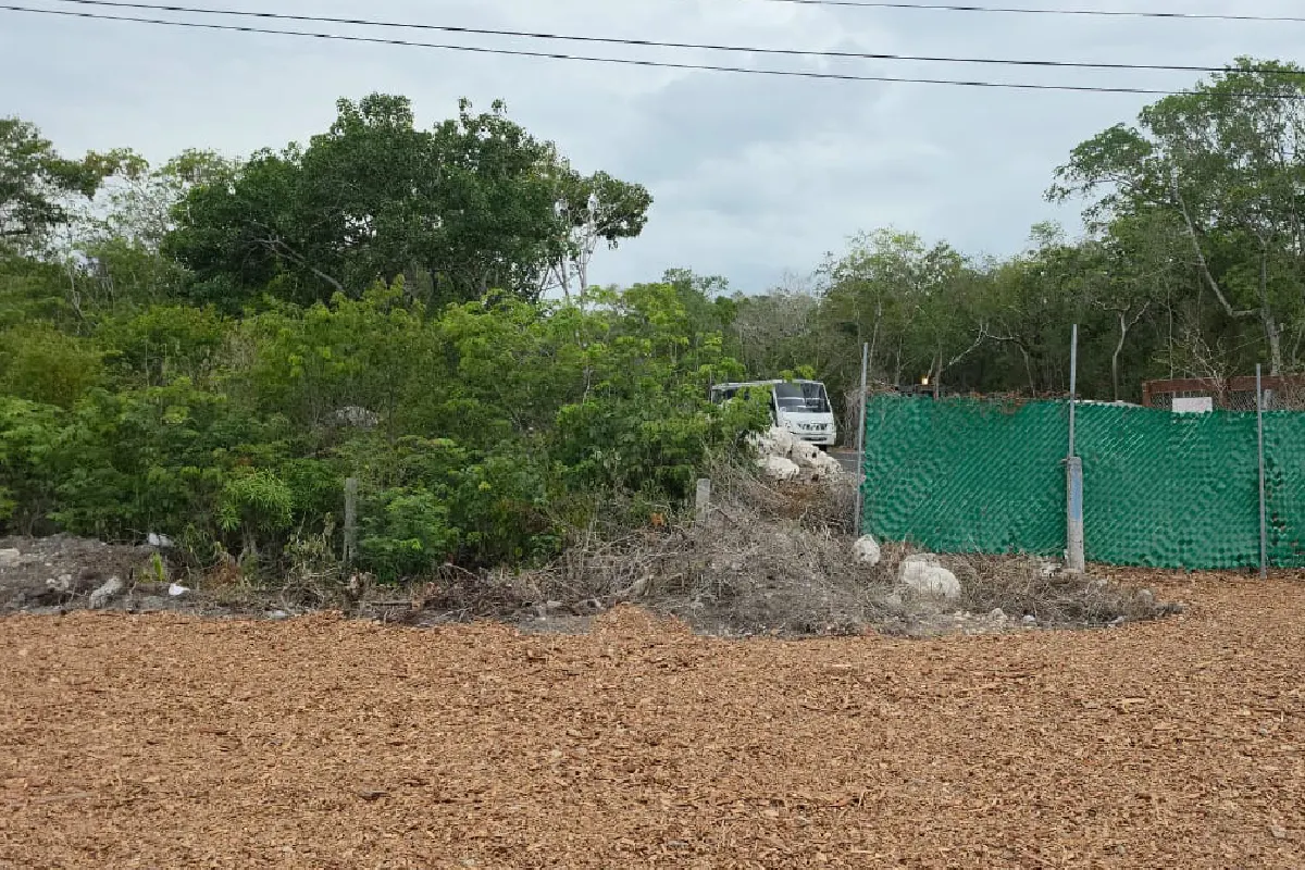 El sistema de cuevas subterráneas Sac Actun en Tulum corre riesgo por desarrollos inmobiliarios y viales.