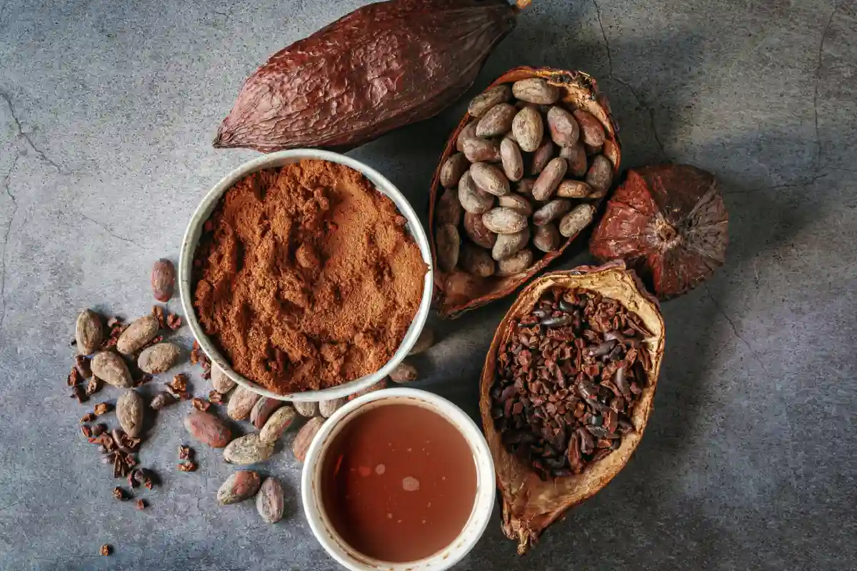 Mazorca y granos de cacao