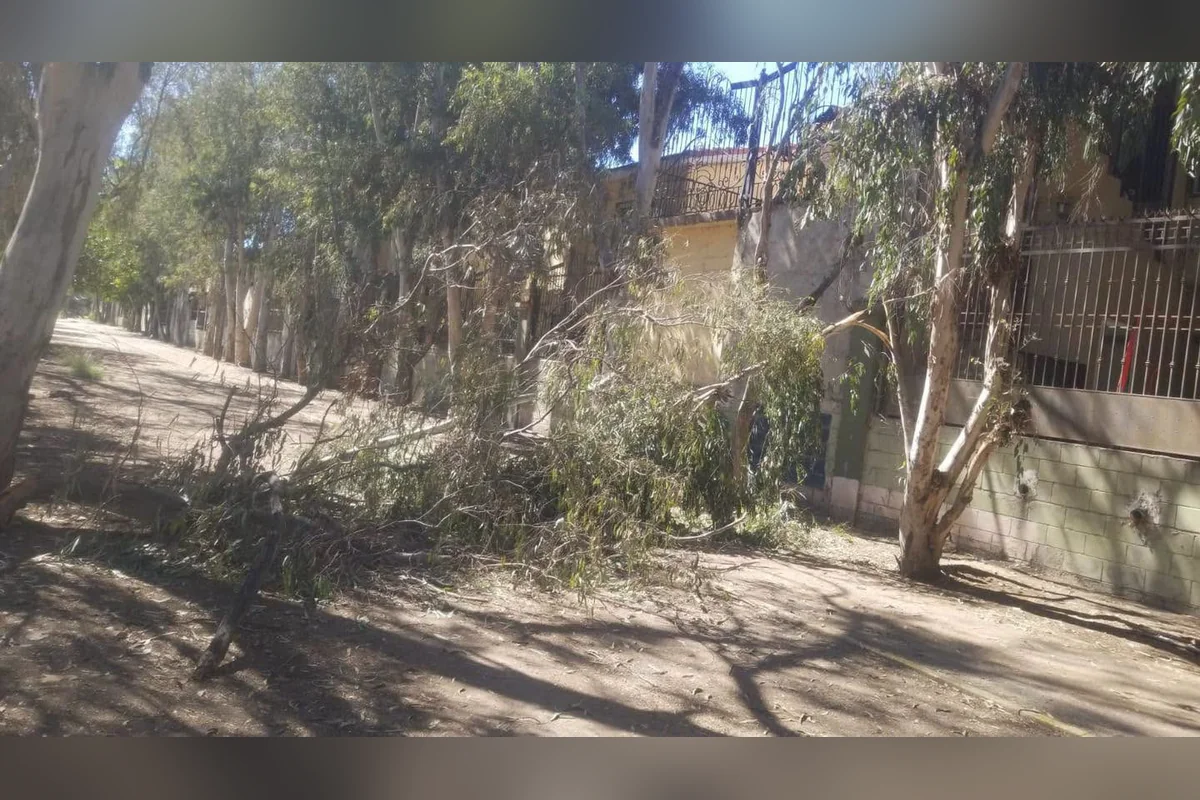 En varias partes de Tijuana hubo incidentes similares. Foto: Gobierno Tijuana.