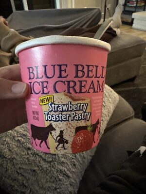 Homemade Vanilla Ice Cream - Halal status check