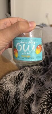 mango yogurt - Halal status check