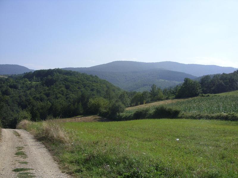 Jastrebac Card image cap