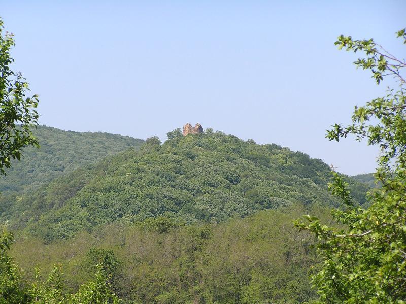 Fruška Gora Card image cap