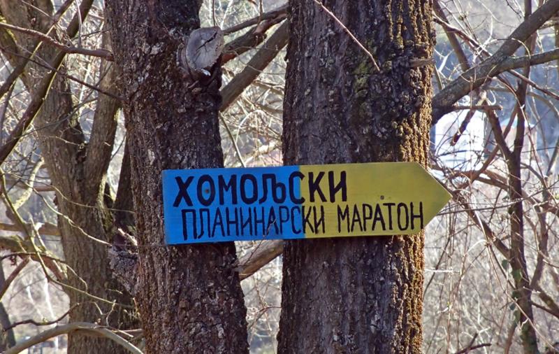 Planinarska akcija