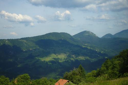 Javor Card image cap