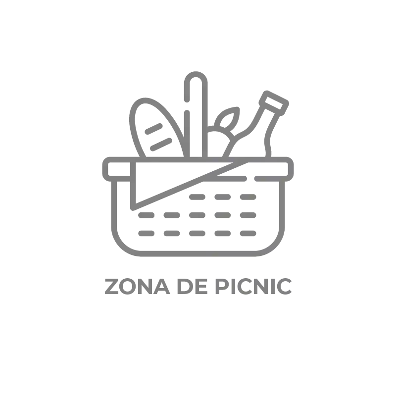 ameniti--zona-picnic-1