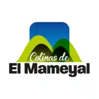 Mameyal