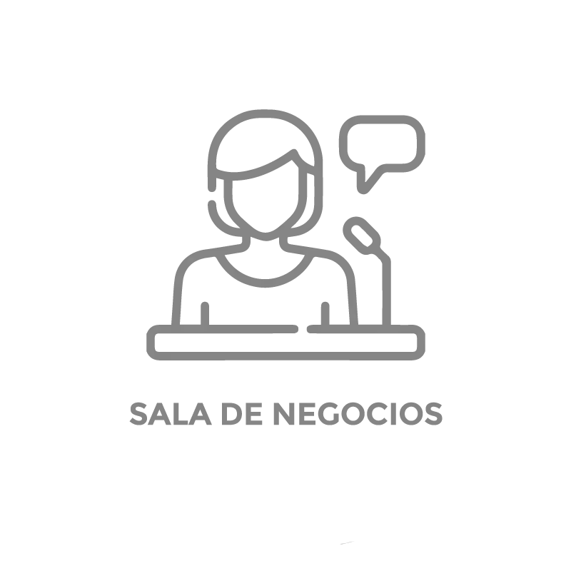 ameniti_sala_negocios