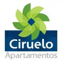 Ciruelo