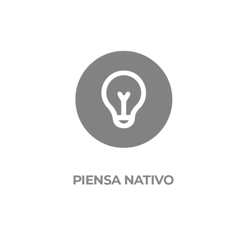 icon-piensa-pance-nativo-