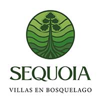 Sequoia