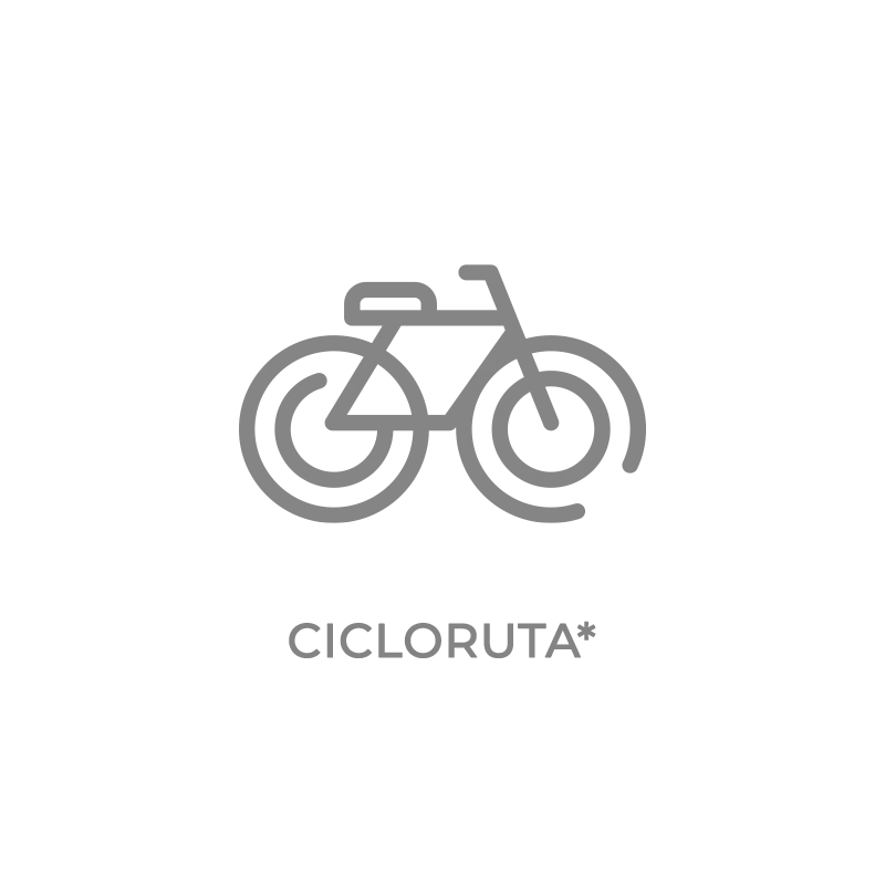 ICON-CICLORUTA