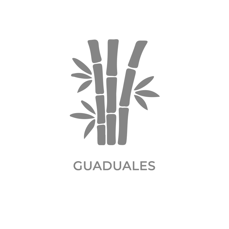 ICON-GUADULAES