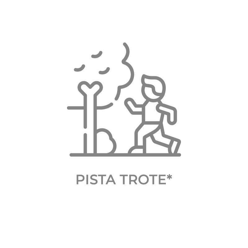 ICON-PISTA-TROTE