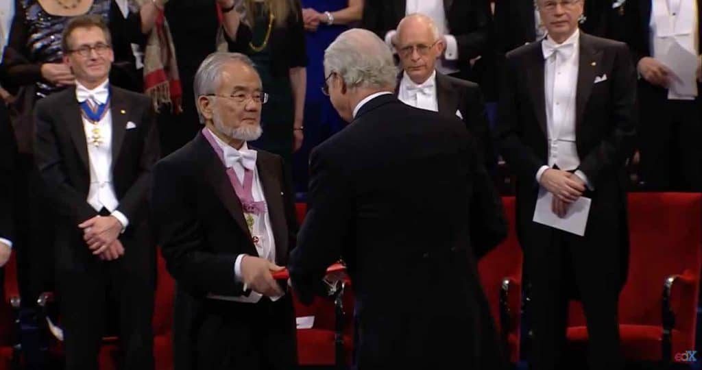 autophagie prix nobel médecine 2016