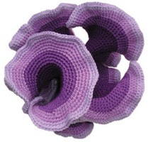 hyperbolic plane