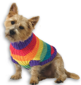 Rainbow Pooch Pullover