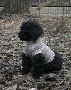 Top Down Dog Sweater by Traveling Tree Designs by Jessika Lane