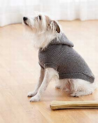 Hoodie Dog Coat by Bernat